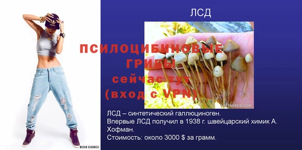 твердый Белокуриха