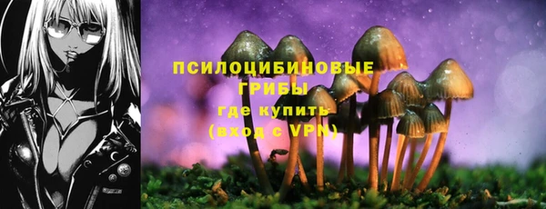твердый Белокуриха