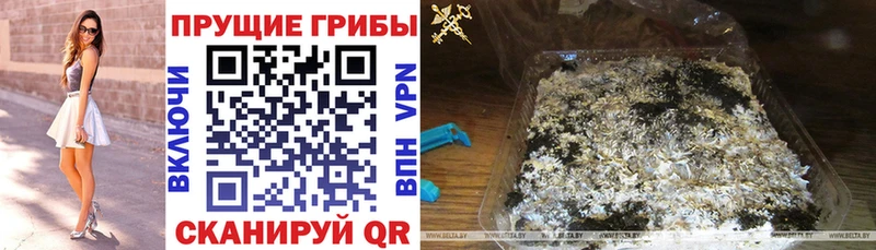 Псилоцибиновые грибы прущие грибы  kraken зеркало  Обь 